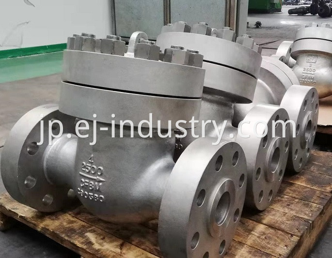 Ss Check Valve